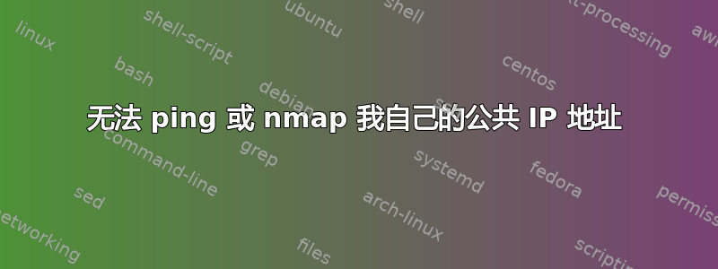 无法 ping 或 nmap 我自己的公共 IP 地址