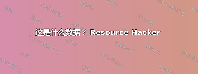 这是什么数据？ Resource Hacker