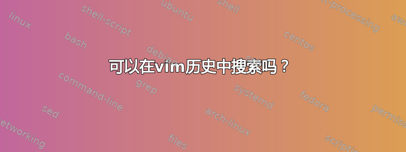 可以在vim历史中搜索吗？