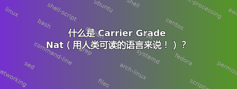 什么是 Carrier Grade Nat（用人类可读的语言来说！）？