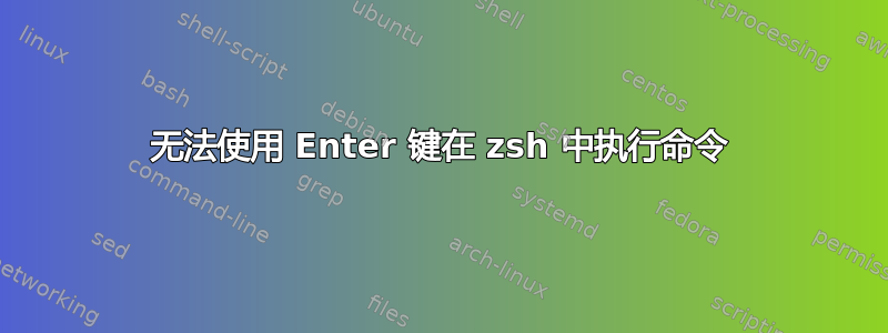 无法使用 Enter 键在 zsh 中执行命令