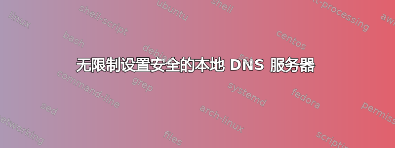 无限制设置安全的本地 DNS 服务器