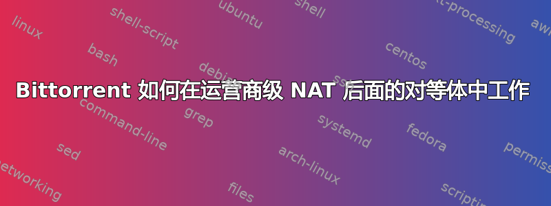 Bittorrent 如何在运营商级 NAT 后面的对等体中工作