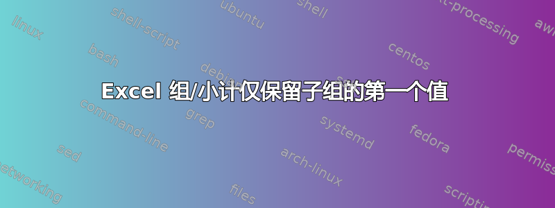 Excel 组/小计仅保留子组的第一个值