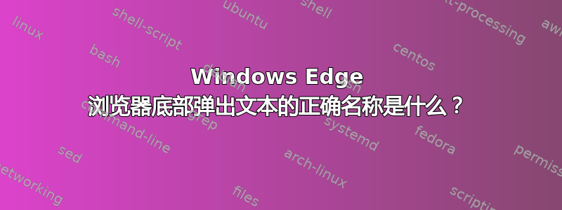 Windows Edge 浏览器底部弹出文本的正确名称是什么？