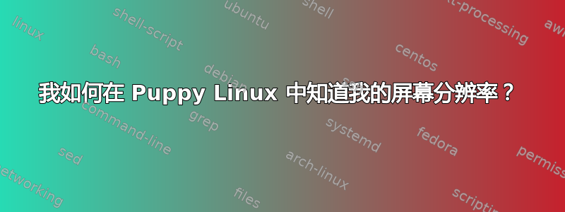 我如何在 Puppy Linux 中知道我的屏幕分辨率？