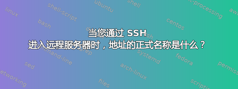 当您通过 SSH 进入远程服务器时，地址的正式名称是什么？