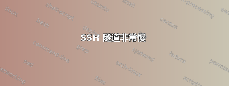 SSH 隧道非常慢