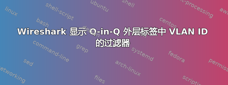 Wireshark 显示 Q-in-Q 外层标签中 VLAN ID 的过滤器