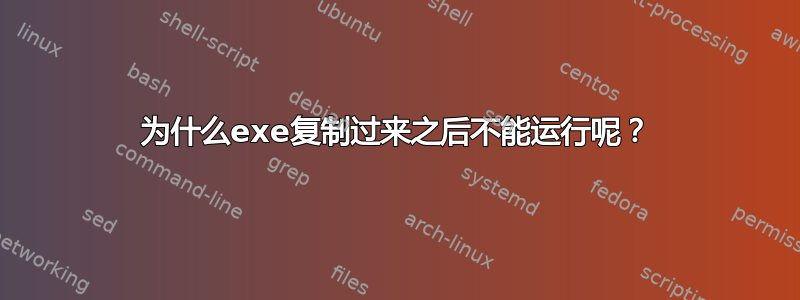 为什么exe复制过来之后不能运行呢？