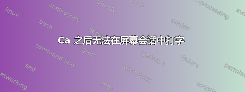 Ca 之后无法在屏幕会话中打字