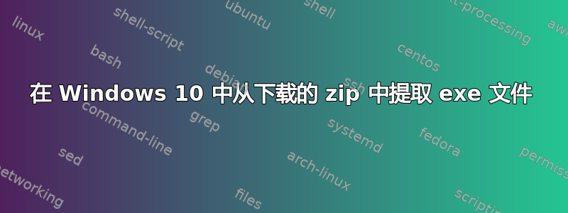 在 Windows 10 中从下载的 zip 中提取 exe 文件