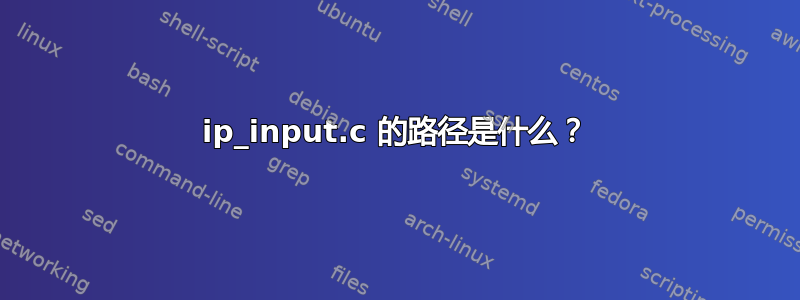 ip_input.c 的路径是什么？