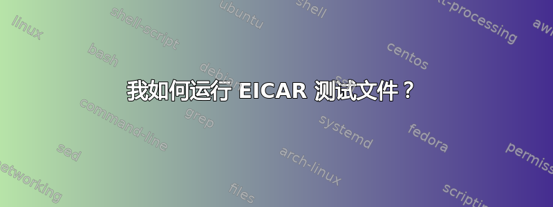 我如何运行 EICAR 测试文件？