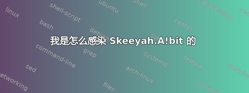 我是怎么感染 Skeeyah.A!bit 的