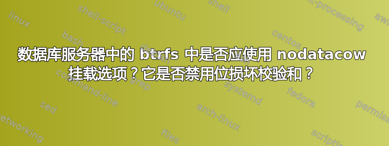 数据库服务器中的 btrfs 中是否应使用 nodatacow 挂载选项？它是否禁用位损坏校验和？