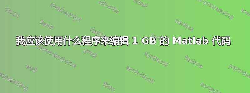 我应该使用什么程序来编辑 1 GB 的 Matlab 代码