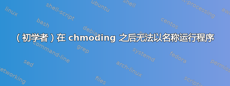 （初学者）在 chmoding 之后无法以名称运行程序