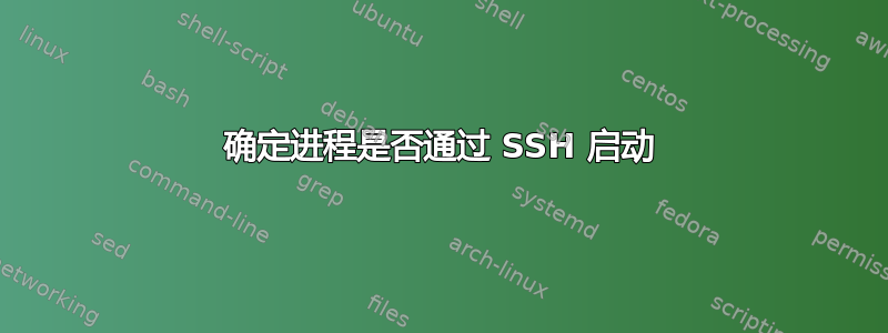 确定进程是否通过 SSH 启动