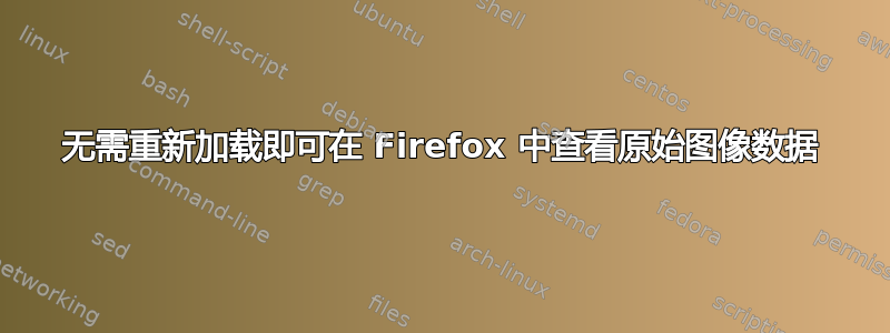 无需重新加载即可在 Firefox 中查看原始图像数据