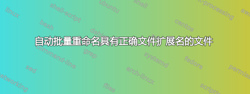 自动批量重命名具有正确文件扩展名的文件