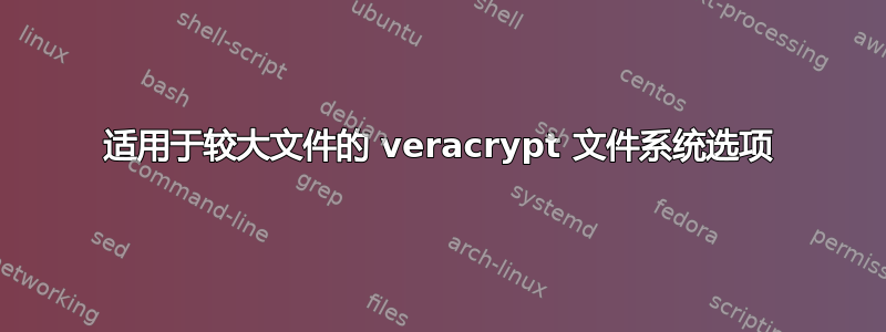 适用于较大文件的 veracrypt 文件系统选项