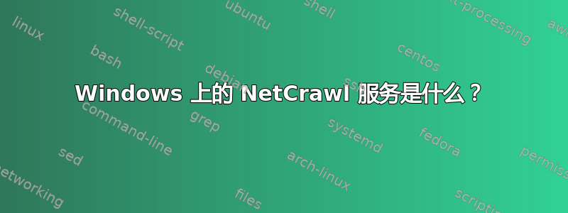 Windows 上的 NetCrawl 服务是什么？