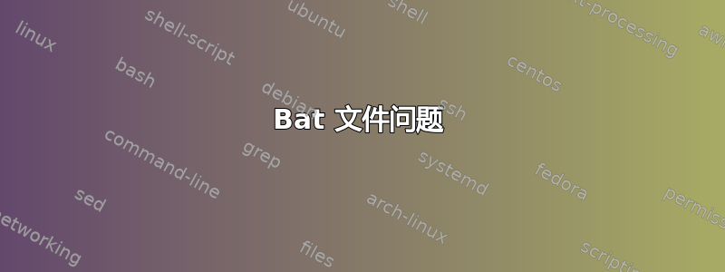 Bat 文件问题