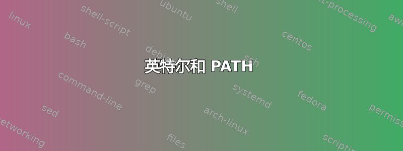 英特尔和 PATH