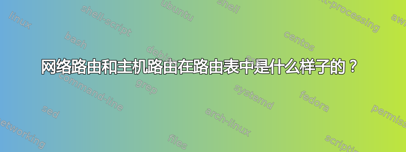 网络路由和主机路由在路由表中是什么样子的？