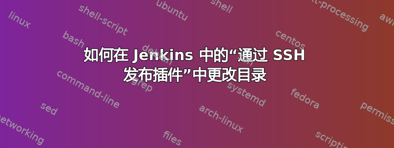 如何在 Jenkins 中的“通过 SSH 发布插件”中更改目录