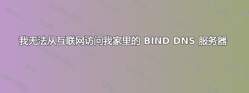 我无法从互联网访问我家里的 BIND DNS 服务器