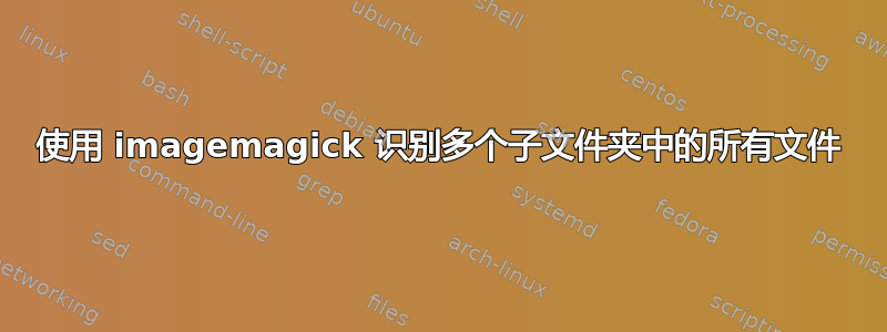 使用 imagemagick 识别多个子文件夹中的所有文件