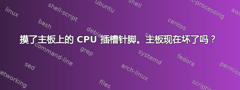 摸了主板上的 CPU 插槽针脚。主板现在坏了吗？