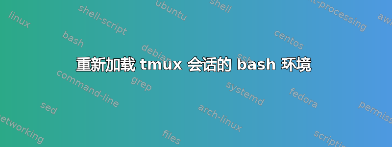 重新加载 tmux 会话的 bash 环境