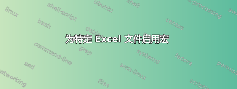 为特定 Excel 文件启用宏