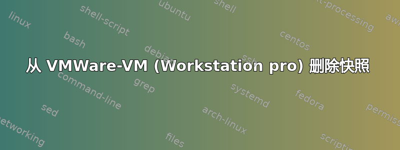 从 VMWare-VM (Workstation pro) 删除快照