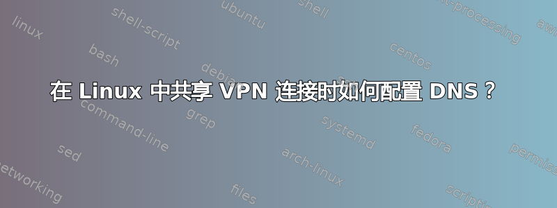 在 Linux 中共享 VPN 连接时如何配置 DNS？