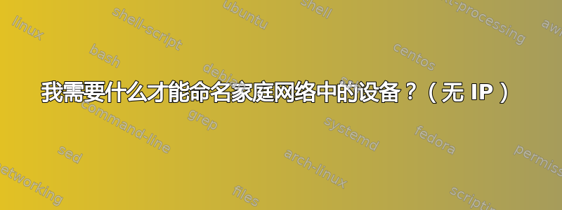 我需要什么才能命名家庭网络中的设备？（无 IP）