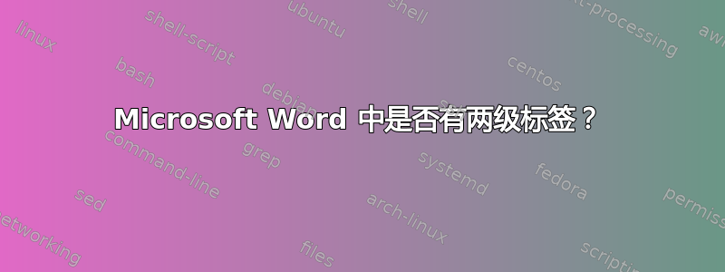 Microsoft Word 中是否有两级标签？