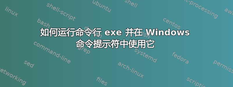 如何运行命令行 exe 并在 Windows 命令提示符中使用它