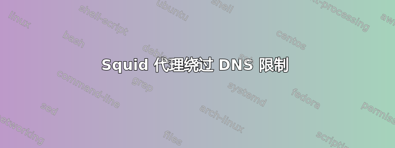 Squid 代理绕过 DNS 限制