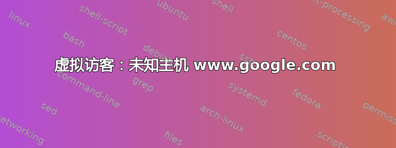 虚拟访客：未知主机 www.google.com