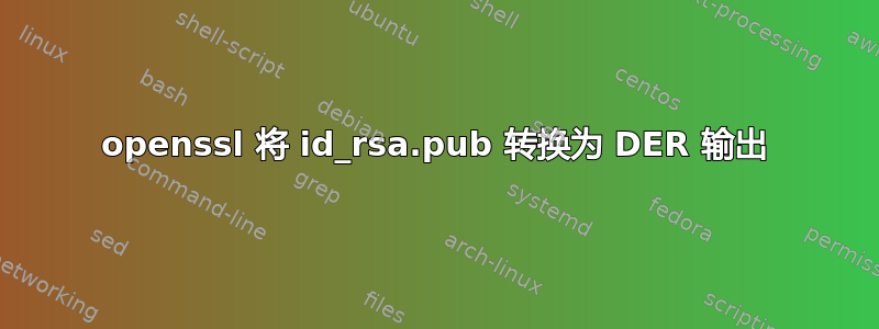 openssl 将 id_rsa.pub 转换为 DER 输出