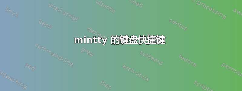 mintty 的键盘快捷键