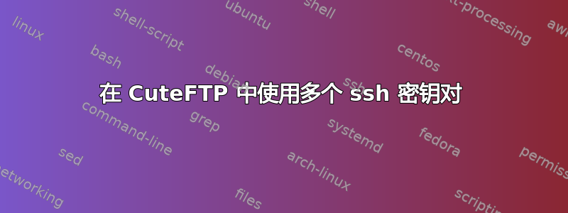 在 CuteFTP 中使用多个 ssh 密钥对