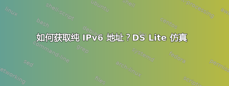 如何获取纯 IPv6 地址？DS Lite 仿真 