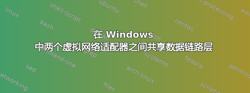 在 Windows 中两个虚拟网络适配器之间共享数据链路层