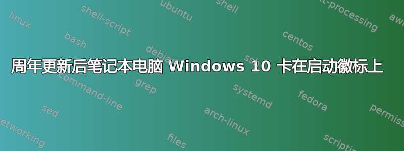 周年更新后笔记本电脑 Windows 10 卡在启动徽标上 