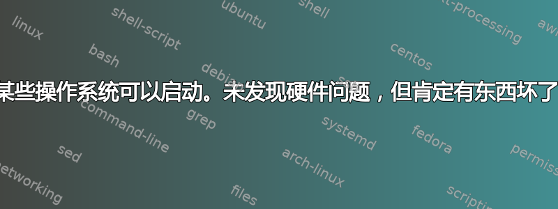 仅某些操作系统可以启动。未发现硬件问题，但肯定有东西坏了。